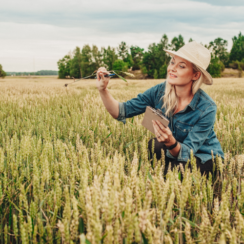 Diagnóstico Agronómico Integral en Campo NEURIXD